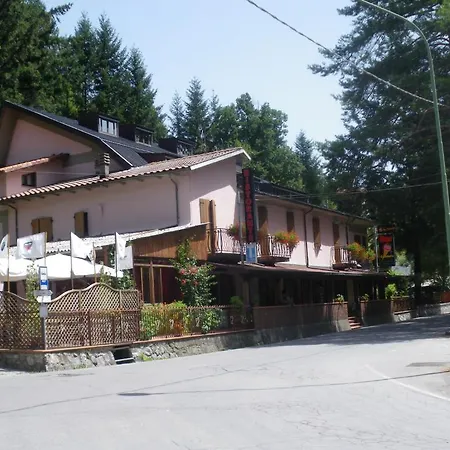 Hotel Delle Alpi 3*