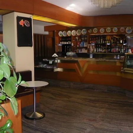 Delle Alpi Hotel 3*